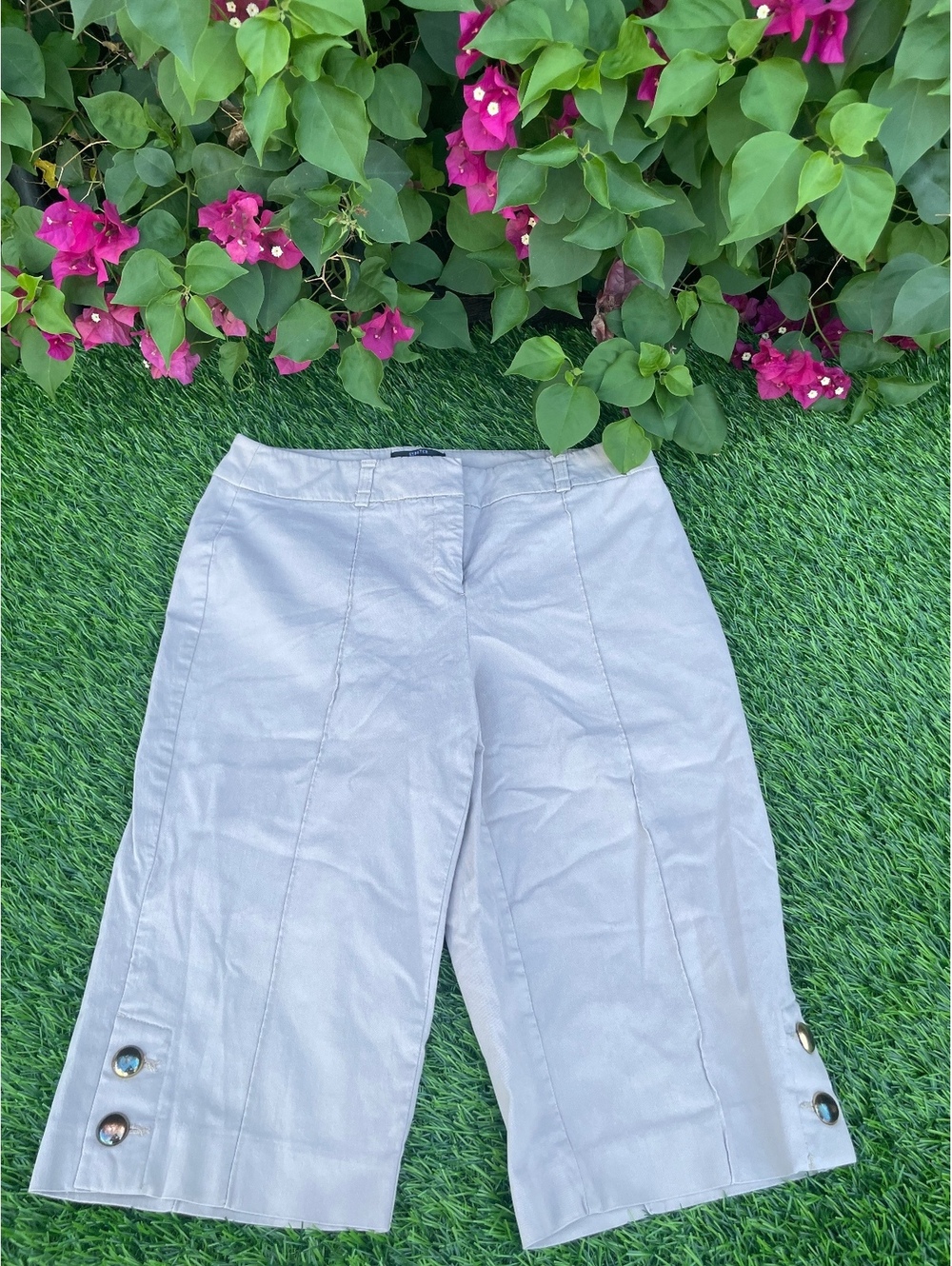 Style & Co. Petite Stretch Beige Capri Pants Size 8P